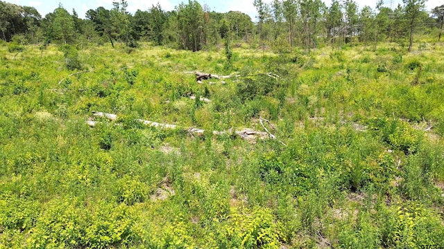 TBD E State Highway 294, Elkhart, TX 75839 - photo 30