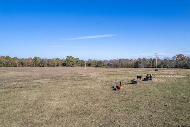 18698 Fm 14, Lindale, TX 75771 - photo 19