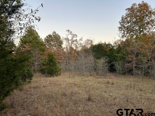 18698 Fm 14, Lindale, TX 75771 - photo 20