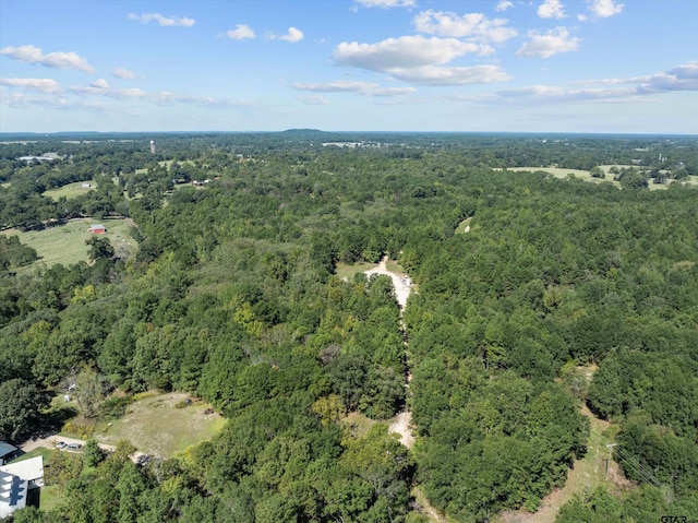 Listing photo 2 for TBD Bluebird Rd, Gilmer TX 75645