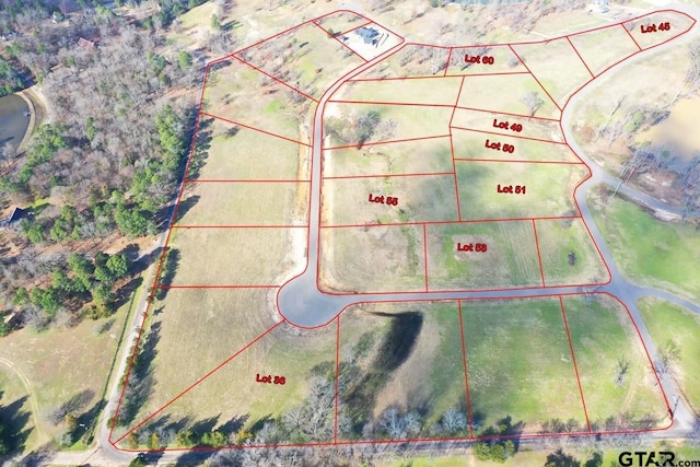 TBDLOT60 S Shores S, Shores, Pittsburg, TX 75686