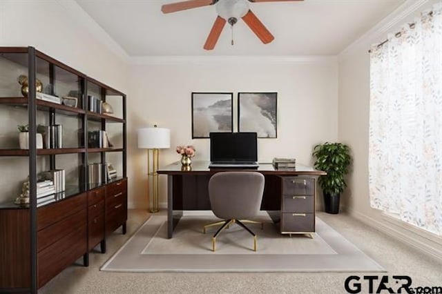 carpeted office space featuring ceiling fan, plenty of natural light, and ornamental molding