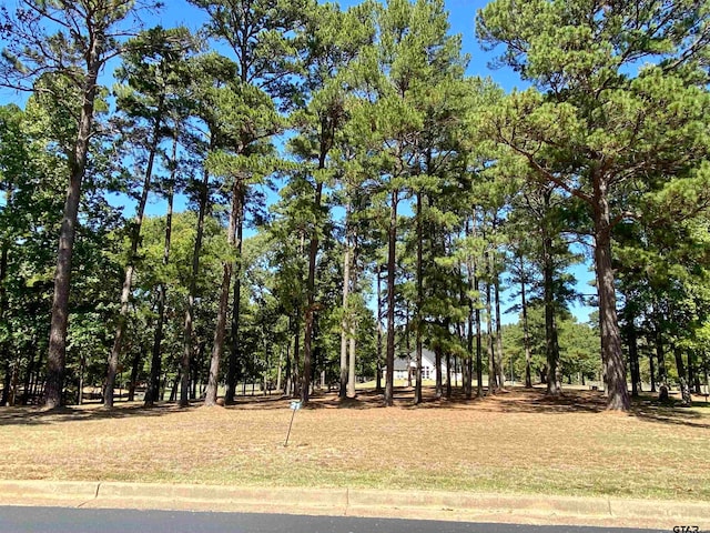 Listing photo 3 for LOT21 Leisure Ln, Frankston TX 75763