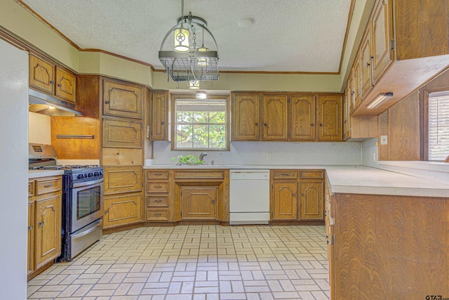 kitchen featuring dishwasher, a wealth of natural light, decorative light fixtures, and stainless steel range with gas cooktop