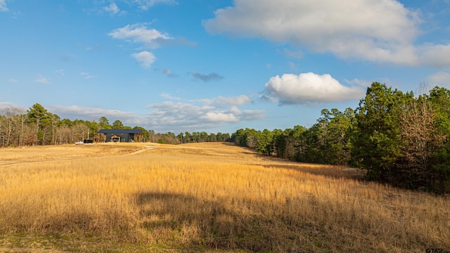 Listing photo 2 for 1234 Firetower Rd, Hallsville TX 75650