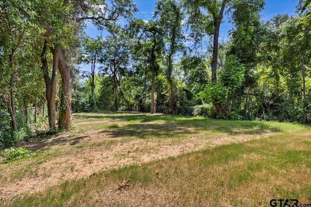 1316 Claude St, Tyler, TX 75702 - photo 25