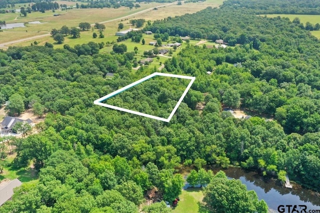 TBD Cr 4425, Mount Pleasant, TX 75455 - photo 6