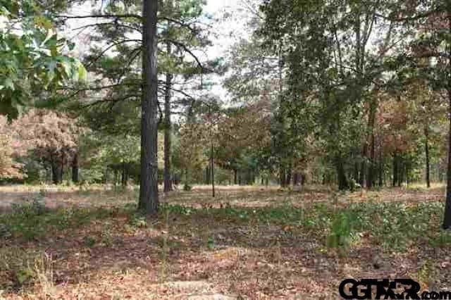 4519 Cascades Blvd, Tyler TX, 75709 land for sale