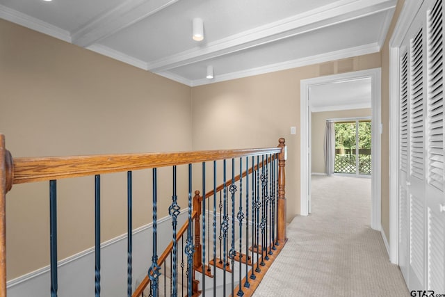 corridor featuring beamed ceiling, light carpet, and ornamental molding