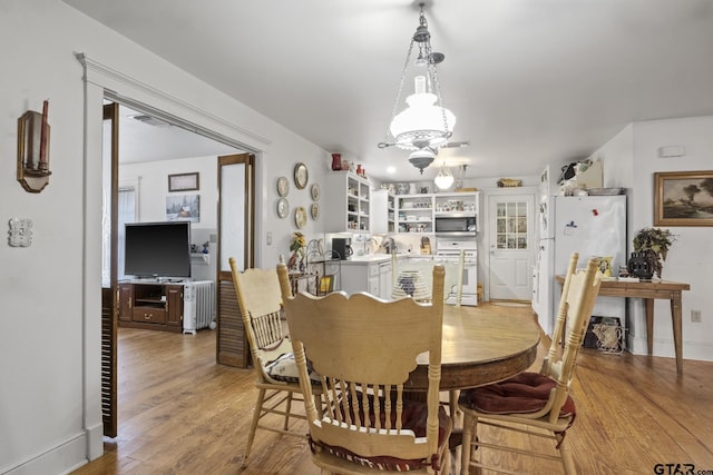 dining room with radiator heating unit and light hardwood / wood-style floors