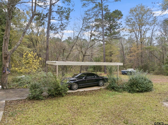 view of yard featuring a carport