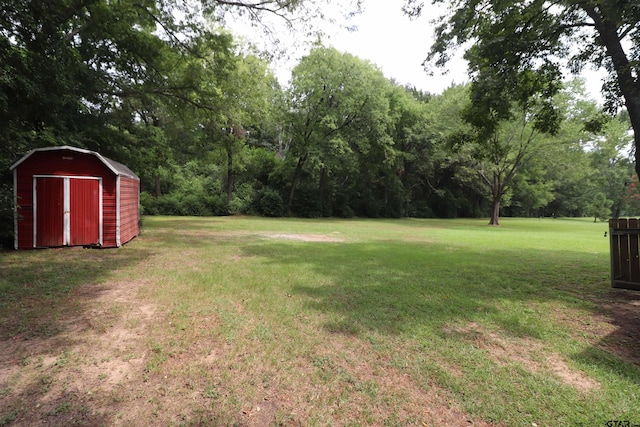 view of yard with a storage unit