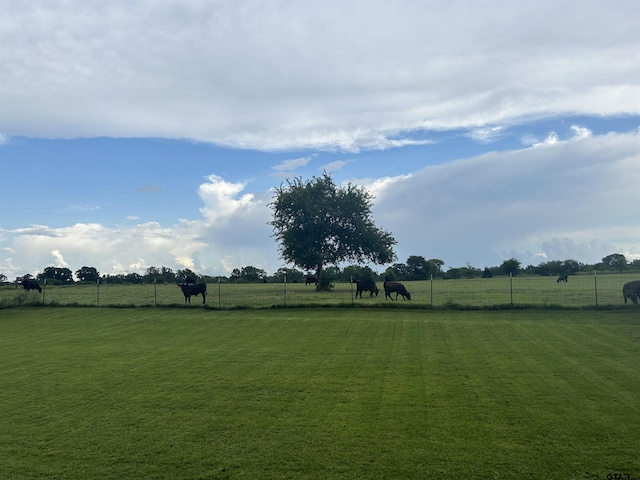 view of yard with a rural view