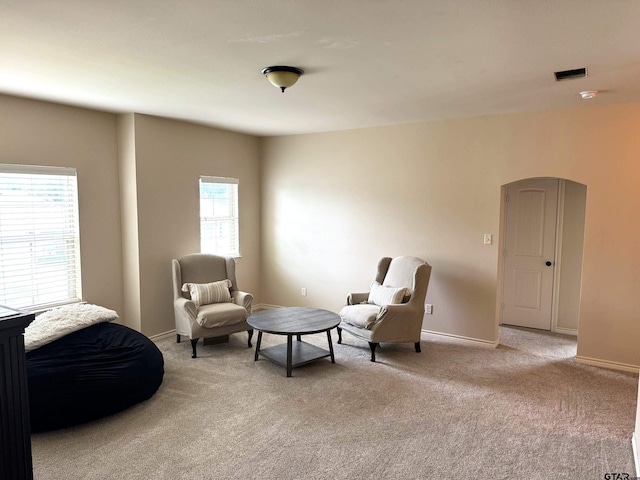 living area featuring light carpet and a healthy amount of sunlight