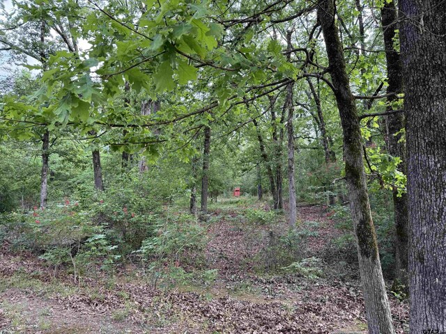 72ACRES N Farm Rd Unit 900, Saltillo, TX 75478 - photo 39