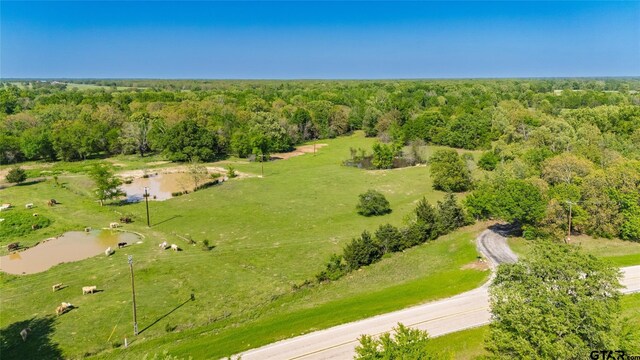 72ACRES N Farm Rd Unit 900, Saltillo, TX 75478 - photo 13