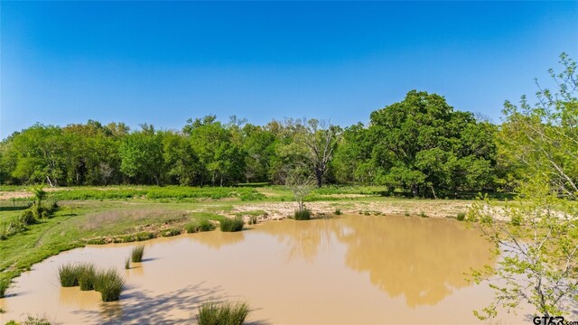 72ACRES N Farm Rd Unit 900, Saltillo, TX 75478 - photo 11