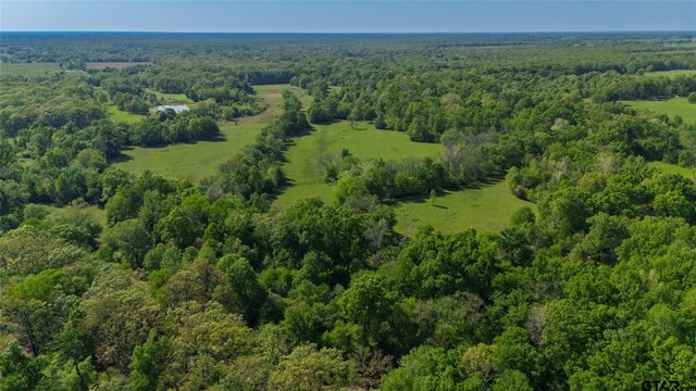 72ACRES N Farm Rd Unit 900, Saltillo, TX 75478 - photo 8