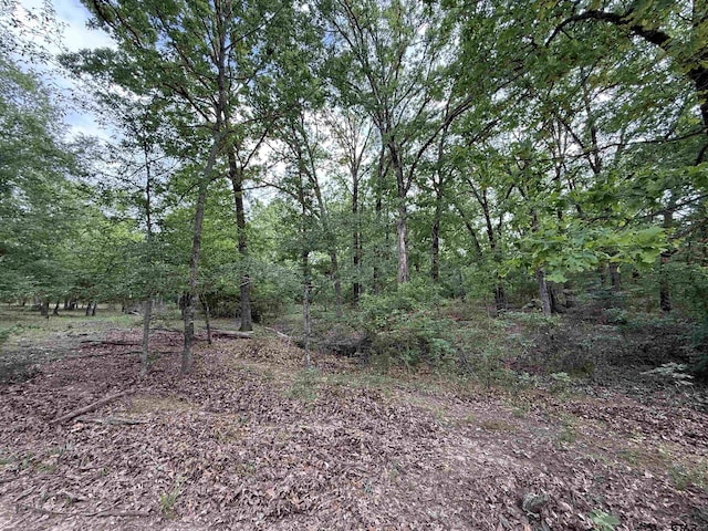 72ACRES N Farm Rd Unit 900, Saltillo, TX 75478 - photo 37