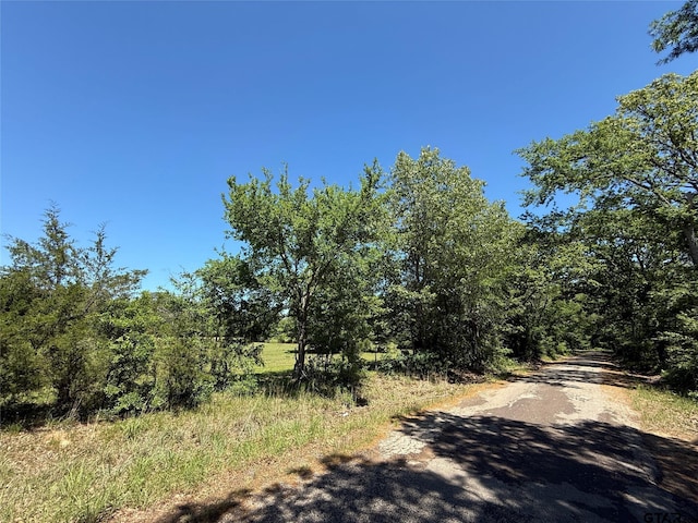 72ACRES N Farm Rd Unit 900, Saltillo, TX 75478 - photo 18