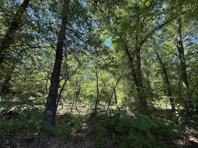72ACRES N Farm Rd Unit 900, Saltillo, TX 75478 - photo 34
