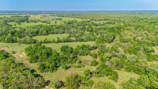 72ACRES N Farm Rd Unit 900, Saltillo, TX 75478 - photo 16