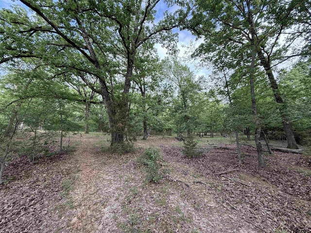 72ACRES N Farm Rd Unit 900, Saltillo, TX 75478 - photo 38