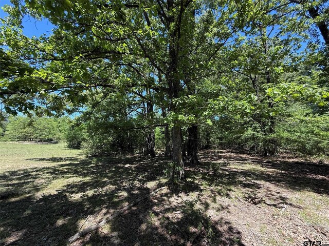 72ACRES N Farm Rd Unit 900, Saltillo, TX 75478 - photo 26