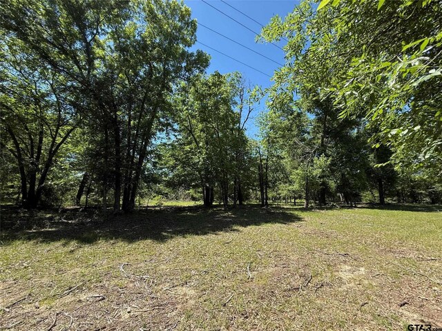 72ACRES N Farm Rd Unit 900, Saltillo, TX 75478 - photo 29
