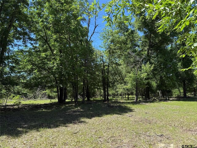 72ACRES N Farm Rd Unit 900, Saltillo, TX 75478 - photo 31