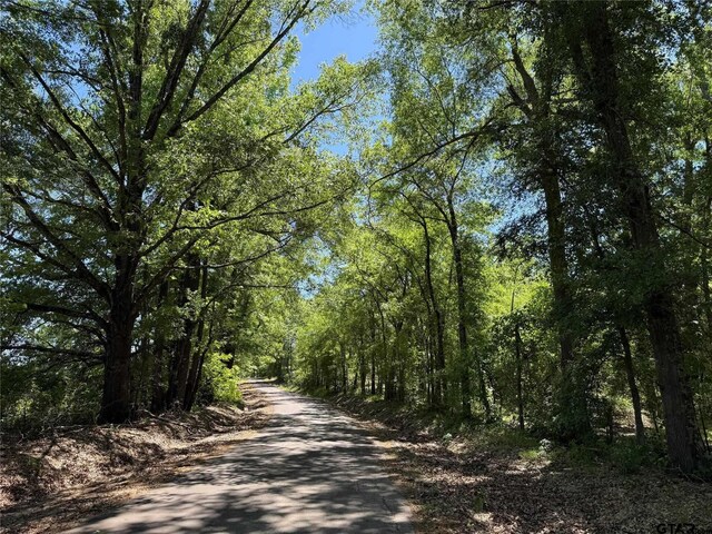 72ACRES N Farm Rd Unit 900, Saltillo, TX 75478 - photo 35
