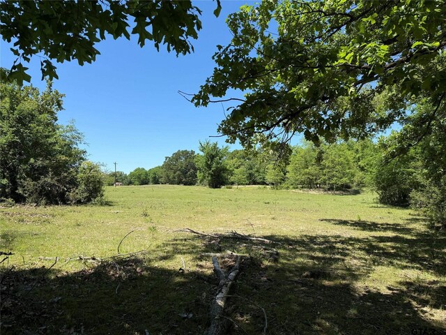 72ACRES N Farm Rd Unit 900, Saltillo, TX 75478 - photo 25