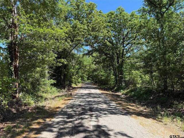 72ACRES N Farm Rd Unit 900, Saltillo, TX 75478 - photo 24