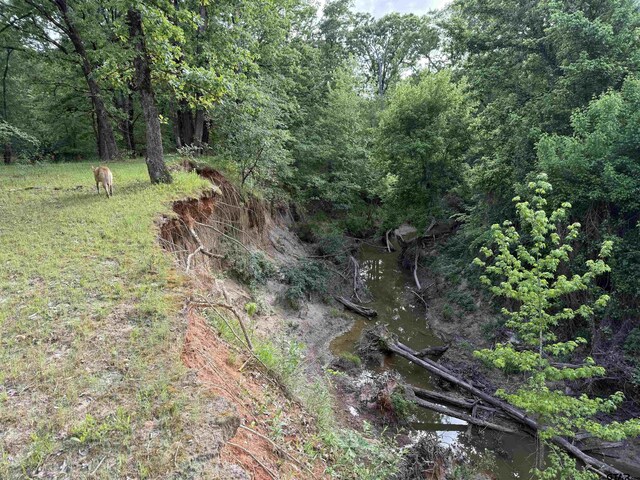 72ACRES N Farm Rd Unit 900, Saltillo, TX 75478 - photo 36