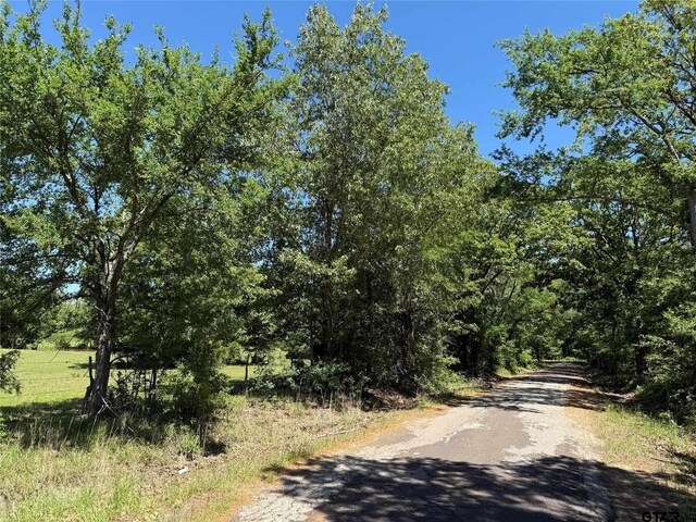 72ACRES N Farm Rd Unit 900, Saltillo, TX 75478 - photo 17