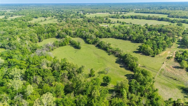 72ACRES N Farm Rd Unit 900, Saltillo, TX 75478 - photo 4
