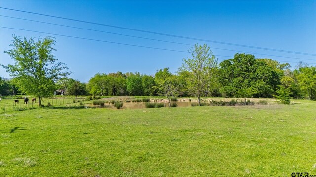 72ACRES N Farm Rd Unit 900, Saltillo, TX 75478 - photo 10