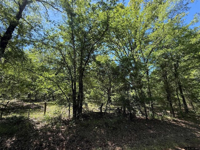 72ACRES N Farm Rd Unit 900, Saltillo, TX 75478 - photo 32
