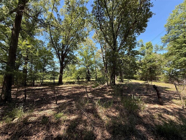 72ACRES N Farm Rd Unit 900, Saltillo, TX 75478 - photo 28