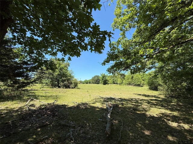 72ACRES N Farm Rd Unit 900, Saltillo, TX 75478 - photo 27