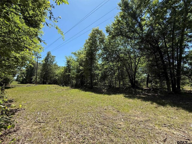 72ACRES N Farm Rd Unit 900, Saltillo, TX 75478 - photo 30