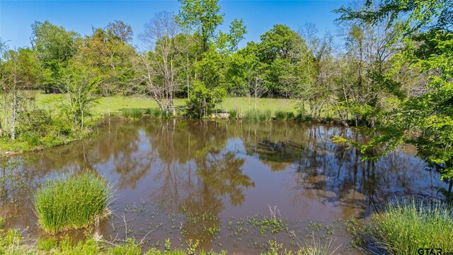 72ACRES N Farm Rd Unit 900, Saltillo, TX 75478 - photo 5