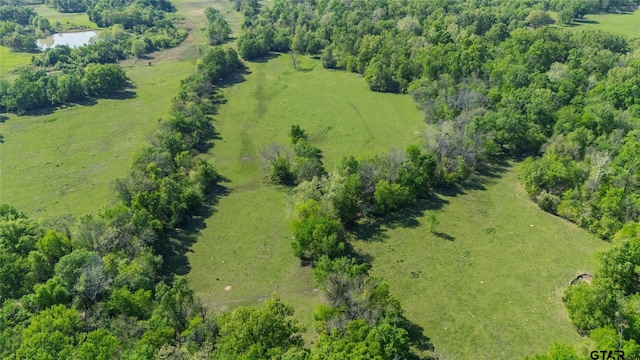 72ACRES N Farm Rd Unit 900, Saltillo, TX 75478 - photo 7