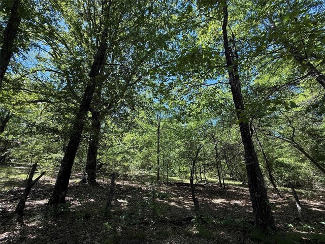 72ACRES N Farm Rd Unit 900, Saltillo, TX 75478 - photo 33