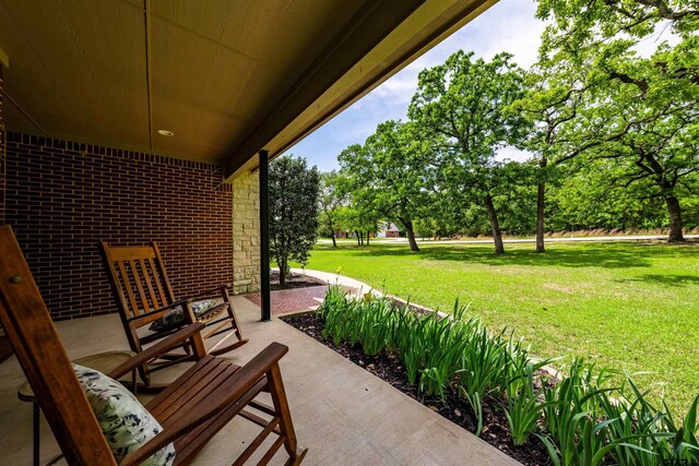 rear view of property with a lawn