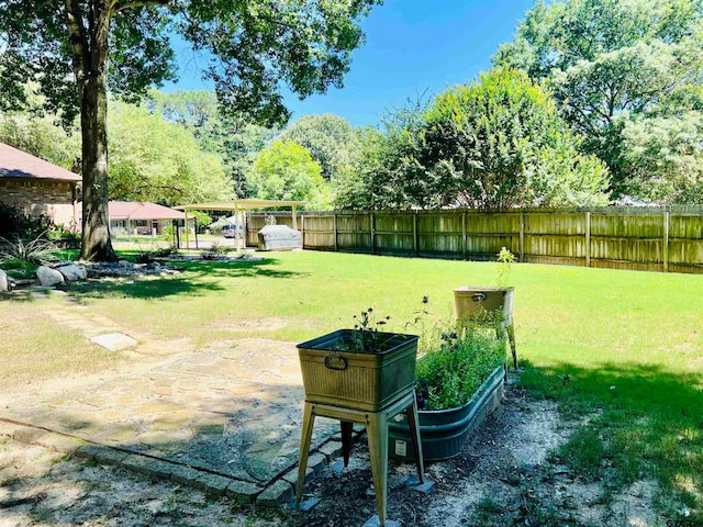 view of yard with a patio area