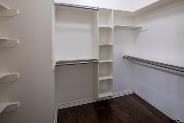 spacious closet with dark wood-type flooring