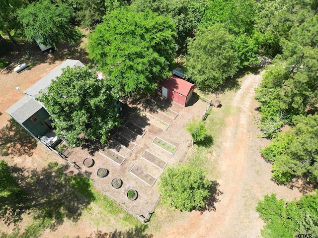 bird's eye view
