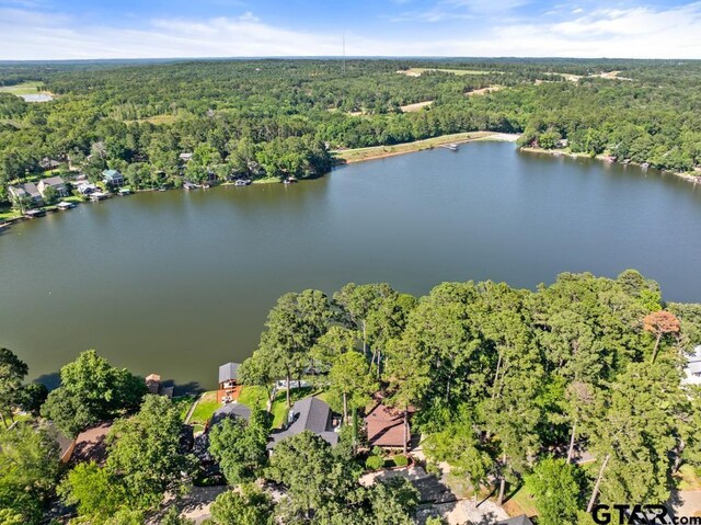 1639 Tanglewood Dr, Hideaway, TX 75771 - photo 39