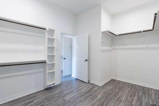 spacious closet with dark wood-type flooring